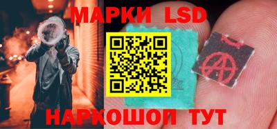 стафф Новозыбков