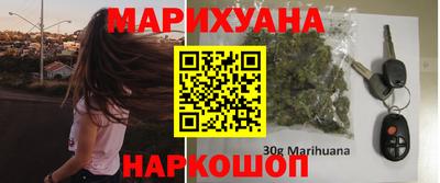 крисы Новокубанск