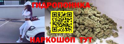 стафф Новозыбков