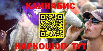 стафф Новозыбков