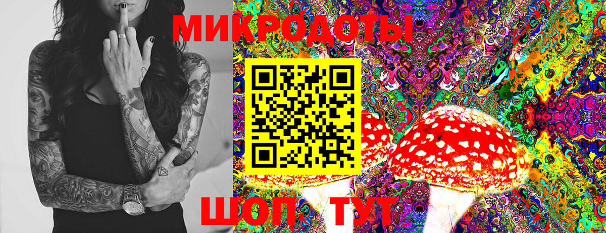Тосно  Псилоцибиновые грибы Psilocybine cubensis  Вход с VPN  Псилоцибиновые грибы MAGIC MUSHROOMS 